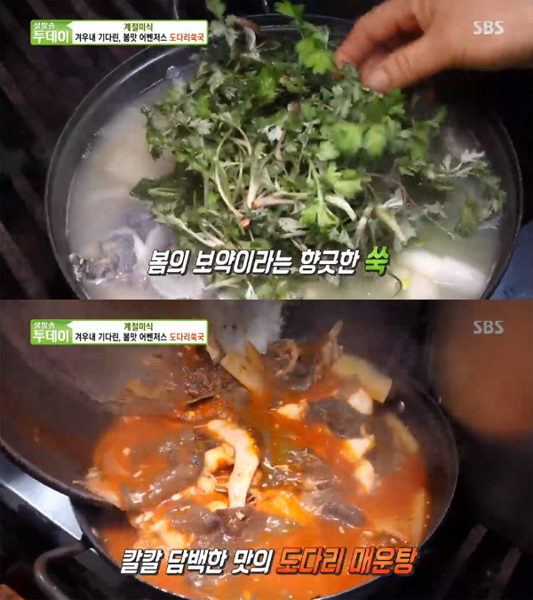 '생방송투데이' 오늘방송맛집, 도다리쑥국·도다리매운탕…보령 등대횟집 '계절미식'