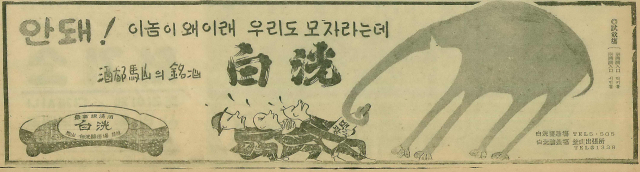 마산 백광양조장의 1963년 1월 4일 자 부산일보 3면 광고.