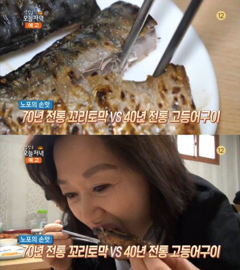 '생방송 오늘 저녁' 40년 전통 고등어구이, 용산 삼각지 대원식당…노포의손맛[오늘방송맛집]