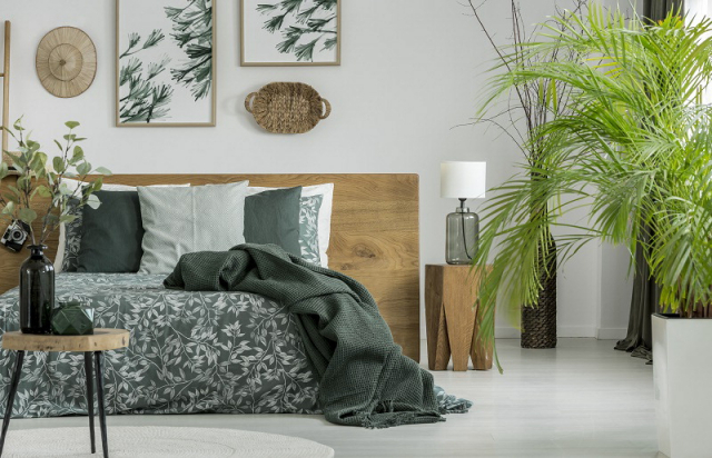 식물을 키우는 이들이 젊어지고 있다. 플랜테리어라는 개념을 적용해 식물로 집안이나 사무실을 꾸미기도 하고, 반려식물이라고 부르며 정서적으로 교류하고 지친 심신을 위로하는 젊은 층이 많아진 것이다. 부산일보DB