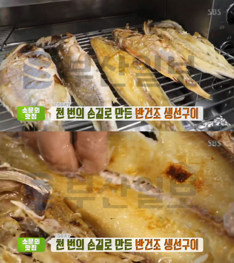 '생방송투데이' 반건조 생선구이, 통영 도남동 성림…소문의맛집[오늘방송맛집]