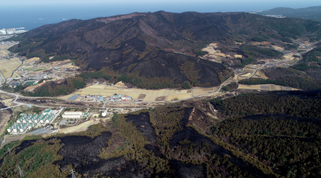 7일 강원도 강릉시 옥계면과 동해시 망상동, 오토캠핑장 인근 해안 산불피해 지역이 검게 변해 있다. 강원일보 제공