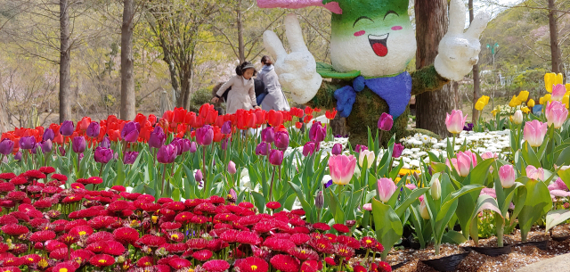 부산 화명수목원 튤립밭. 봄이 왔음을 알려주는 꽃들은 겨울 동안 움추렸던 자연이 기지개를 켜는 것을 상징해 보는 이의 맘을 충만하게 만든다.