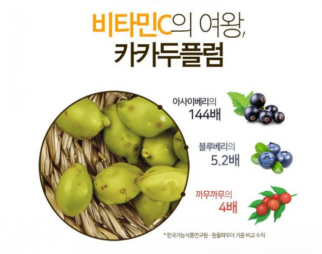 사진=현대홈쇼핑 캡처