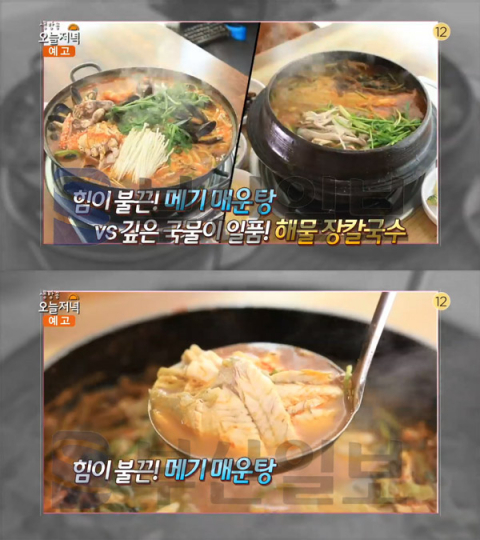 '생방송 오늘 저녁' 메기 매운탕, 파주 조리읍 최가네매운탕어죽…투맛취(오늘방송맛집)