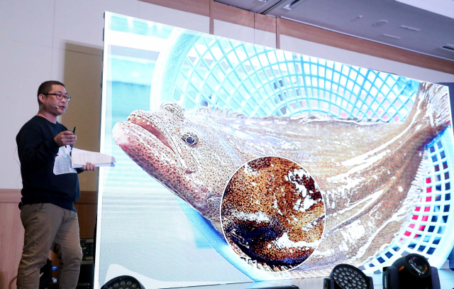 해양산업에서 새로운 창업과 직업의 길을 찾는 ‘2019 해양산업 르네상스’가 오는 23일 열린다. 지난해 김용완 인어교주해적단 공동창업자가 ‘스마트폰 속 수산물의 모든 것’을 주제로 강연하는 모습. 부산일보DB