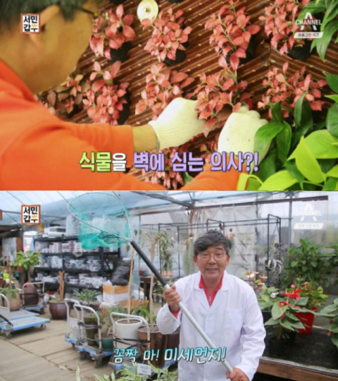 '서민갑부' 실내 수직정원 갑부, 당진시 원당동 '식물병원 초록에서'…미세먼지 저감효과 7배