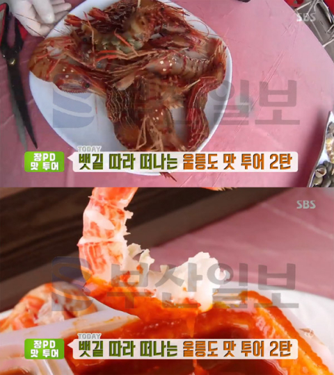 '생방송투데이' 울릉도, 독도새우-꽁치물회＆홍따밥＆오징어내장탕-오션라떼…장PD맛투어(오늘방송맛집)