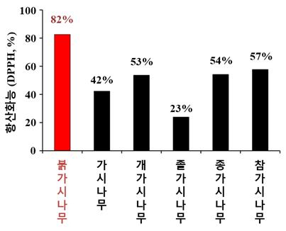 참나무류 수종의 도토리 내 항산화 물질 함량 .산림바이오소재연구소 제공