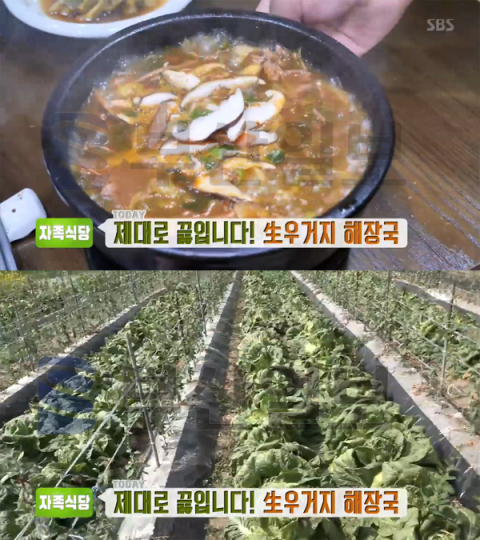 '생방송투데이' 우거지해장국, 청양군 청양읍 청양우거디…자족식당(오늘방송맛집)