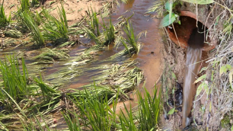 사진-'제보자들' 예고편