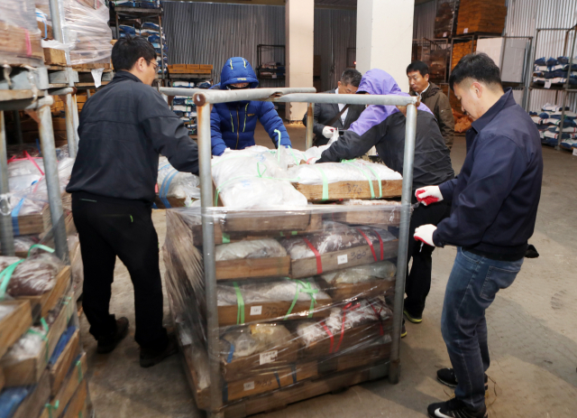울산 경찰이 고래고기 압수물을 선별하고 있는 모습. 연합뉴스
