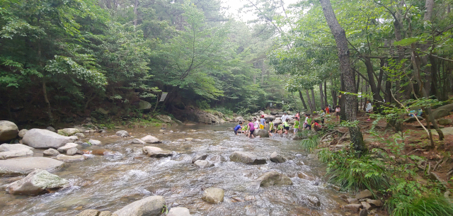 해운대 장산계곡으로 이미 초등학생들이 야외활동으로 물놀이를 하는 등 벌써부터 오가는 이들이 많다.