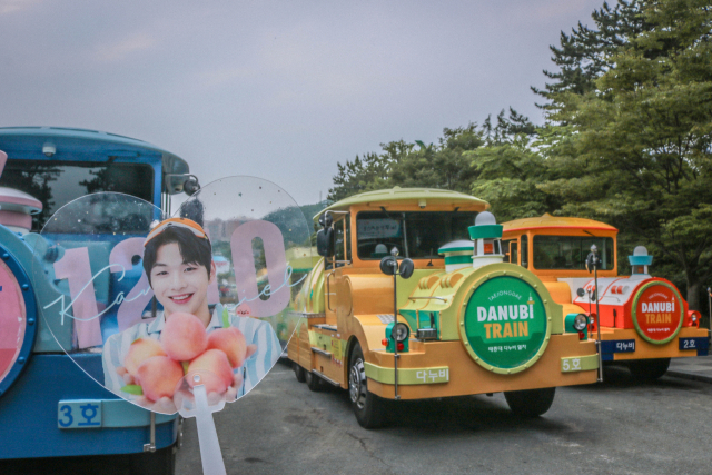 부산관광공사가 부산시 홍보대사로 위촉된 가수 강다니엘을 활용한 관광 홍보에 나섰다. 영도구 태종대의 다누비 열차. 사진=부산관광공사 제공