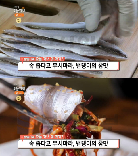 '생방송 오늘 저녁' 밴댕이 회＆회무침, 인천 강화군 볼음도 섬마을민박식당…한별이의 뭐먹지(오늘방송맛집)