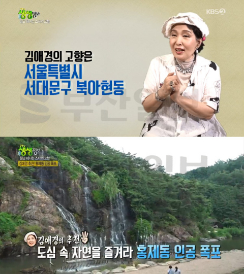 '김애경 고향' 서울 서대문구, 홍제동 개미마을-홍제천 인공폭포-봉원사 안산 자락길-아현시장…2TV 생생정보(생생정보통 맛집오늘)