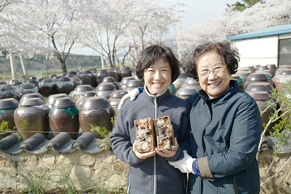 경북 경주시 강동면 왕신리 진아F＆C 장독대에서 잘 발효시킨 메주를 들고 서 있는 김명자 회장(사진 오른쪽)과 송연실 대표 모녀.