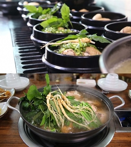 '서민갑부' 산양삼 삼계탕 갑부, 여주 차라도가든…산양삼삼계탕＆오리백숙 '자산50억'