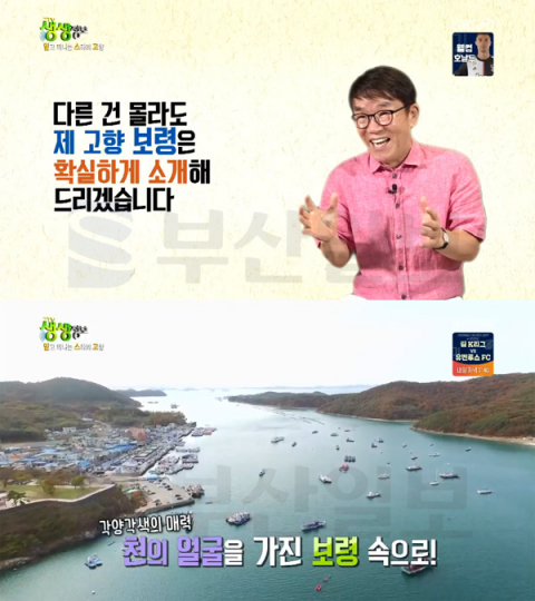 '김국환 고향' 보령 성주산 자연휴양림-서해 호도섬 민박＆백사장＆세모국-보령머드축제…2TV 생생정보(생생정보통 맛집오늘)
