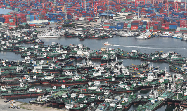 5일 북상 중인 제8호 태풍 '프란시스코'에 대비해 부산항 제5 부두에 선박들이 피항해 있다. 태풍 '프란시스코'는 6일 제주도 먼바다를 통과한 후 남해안에 상륙해 내륙을 관통할 것으로 전망되며 남부지방을 중심으로 다소 많은 비가 내릴 것으로 예상된다.이재찬 기자 chan@