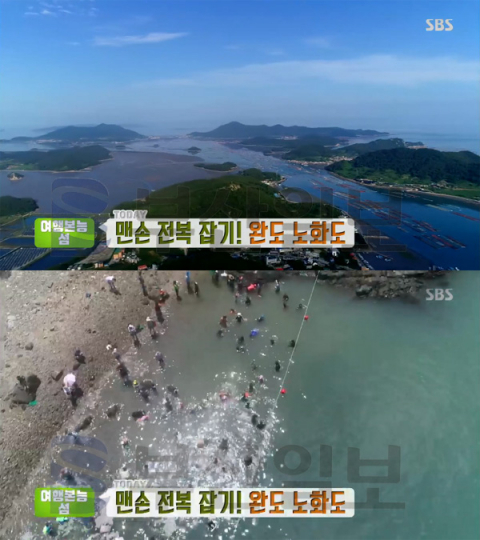 '생방송투데이' 완도 노화도, 이치산 트레킹-맨손 전복＆고기잡이-노화전통시장…여행본능섬