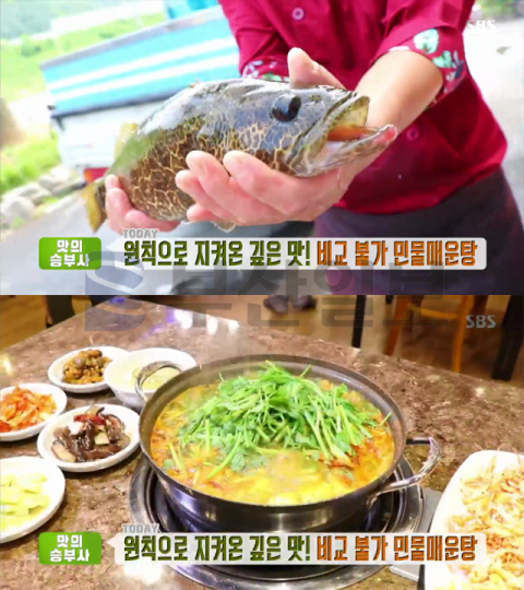 '생방송투데이' 민물매운탕, 용인 내린천민물매운탕…맛의승부사(오늘방송맛집)