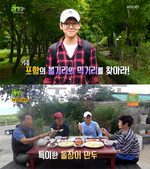 생생정보 이피디 성별 관심? '2TV 생생정보' 포항 내연산 폭포-돌장어만두…이PD가간다