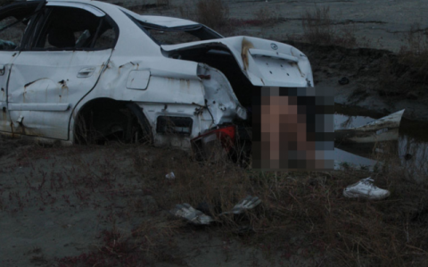 온라인 커뮤니티 캡처