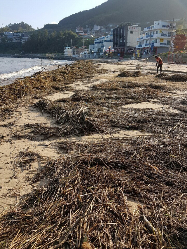 경남 거제시 장목면 흥남 해수욕장에 태풍 ‘미탁’ 때 밀려온 쓰레기가 쌓여 있다. 경남도 제공