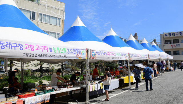 추석맞이 고창군 직거래 장터. 동래구청 제공.