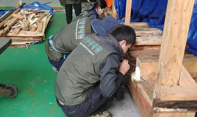 국립생태원과 농림축산검역본부 관계자들이 수입화물에서 긴다리비틀개미를 포획하고 있다.