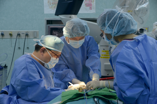 귀·코·목질환의 실력파들이 신의료기술을 자체 개발해 각 분야에서 맹활약하고 있다. 부산백병원 제공