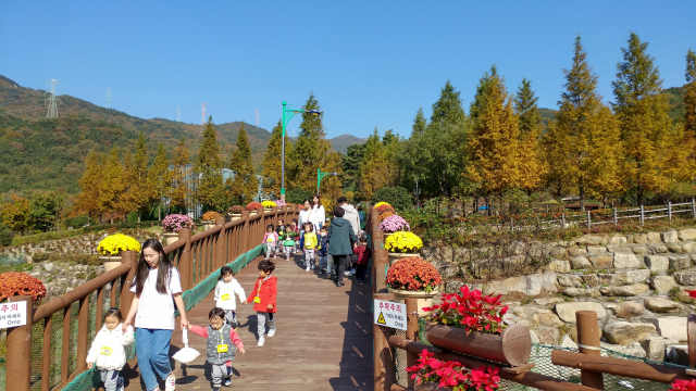 화명수목원으로 들어가는 진입다리. 뒤에 보이는 금정산이 온통 가을색이다.