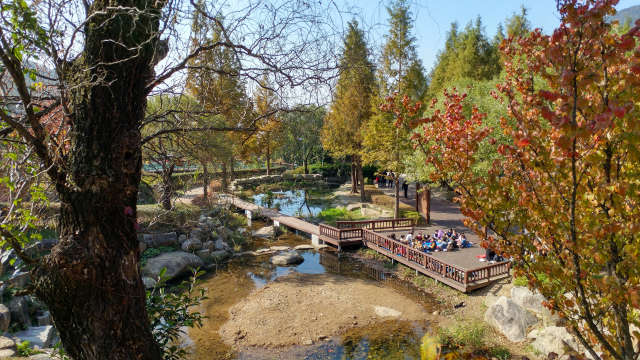 화명수목원의 생태연못과 중앙광장.