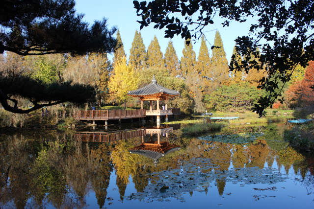 단풍으로 물든 경남수목원의 생태연못.