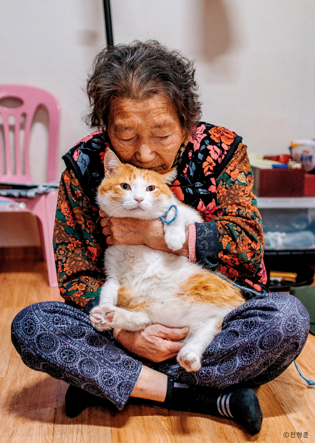 '고양이에 위로받다' 전형준 작가의 작품. 갤러리수정 제공