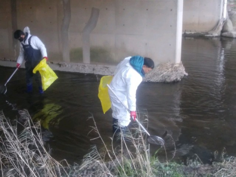 경남 김해시 해반천에 지난달 27일 물고기가 집단 폐사해 당국이 역학조사에 나섰다. 폐사한 물고기를 수거하는 모습. 김해양산환경운동연합 제공 경남 김해시가 정부 지원금을 받아 생태하천으로 복원한 지역의 대표적 하천인 해반천에서 3년 만에 또다시 물고기 대량 폐사사고가 발생해 비난 여론이 높다. 부산일보DB
