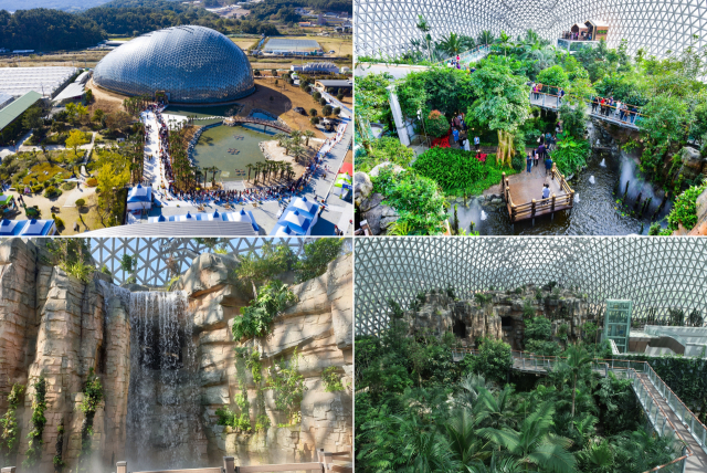 거제 정글돔이 지역을 대표하는 명소 9곳 중 하나로 선정됐다. 정글돔에는 일명 ‘데빌 트리’(Devil tree)라 불리는 흑판수를 비롯해 보리수나무, 카나리아야자, 미인수, 극락 조화 등 300여 종 1만여 주의 열대 식물이 뿌리내렸다. 석부작 계곡을 비롯해 10m 높이의 인공폭포, 공중을 가로지르는 스카이워크 등 다양한 콘텐츠를 체감할 수 있다. 부산일보DB