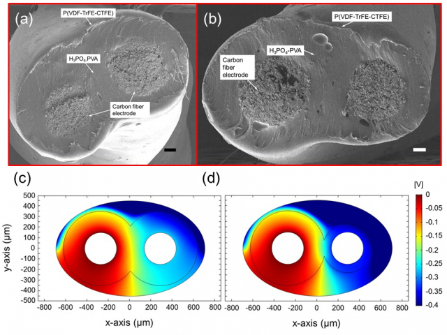 충전기가 필요 없이 기계적 마찰(터치 등)을 이용한 섬유형 에너지 발생＆저장 기술. (a), (b) 에너지 발생 및 저장 기능 일체형 섬유의 단면. (c), (d) 기계적 마찰에 의해 발생한 전위차에 의한 섬유형 슈퍼캐패시터 충전 원리 시뮬레이션 결과. 경남과기대 제공