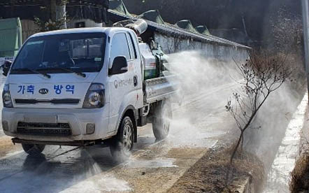 지난달 29일 강원 홍천군이 최근 아프리카돼지열병(ASF)과 AI, 구제역 등 가축전염병 차단을 위해 방역활역을 벌이는 모습. 연합뉴스