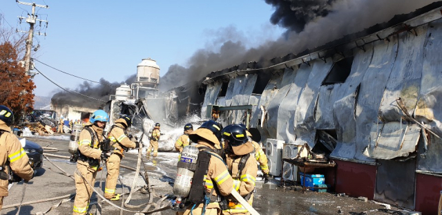 부산소방재난본부 제공