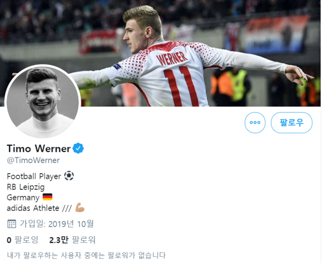팔로잉 '0' 베르너 트위터.