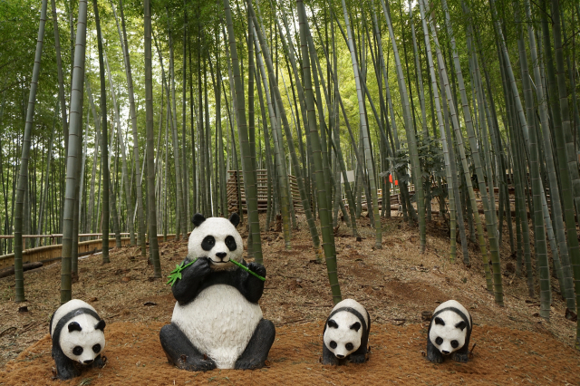 거제맹종죽테마파크 ‘죽림욕장’의 판다 인형.