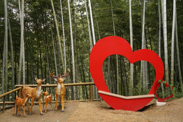 거제맹종죽테마파크 ‘죽림욕장’의 포토존.