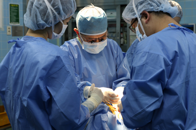 고신대복음병원 갑상선센터 이강대 교수가 부갑상선 손상을 막기 위해 근적외선과 디지털카메라를 활용해 갑상선암 수술을 하고 있다. 고신대복음병원 제공