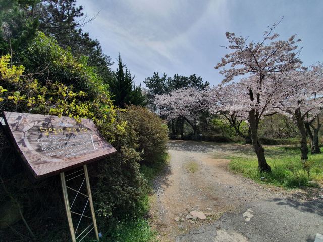 달맞이고개 옛길 표지판.