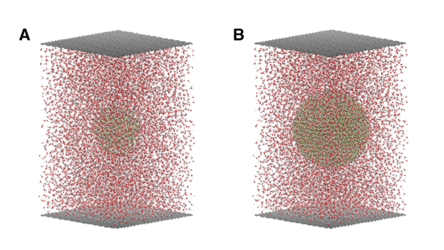 그래핀 액체 셀에 담긴 백금 나노입자의 모습. IBS 제공
