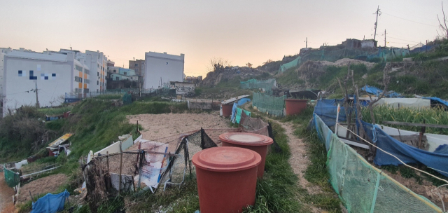 8일 오후 5시께 부산 부산진구 부암동의 한 재개발 예정 부지. 이곳은 주거지 바로 옆에 있지만 수년간 방치되면서 쓰레기 무단 투기와 불법 경작지로 몸살을 앓았다.