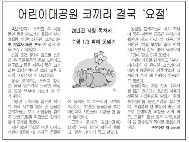 성지곡동물원 내 코끼리가 2002년 요절했다는 안타까운 소식을 전한 <부산일보> 기사입니더. 부산일보DB