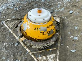 발견 당시 서귀포 파고부이 사진. 기상청 제공